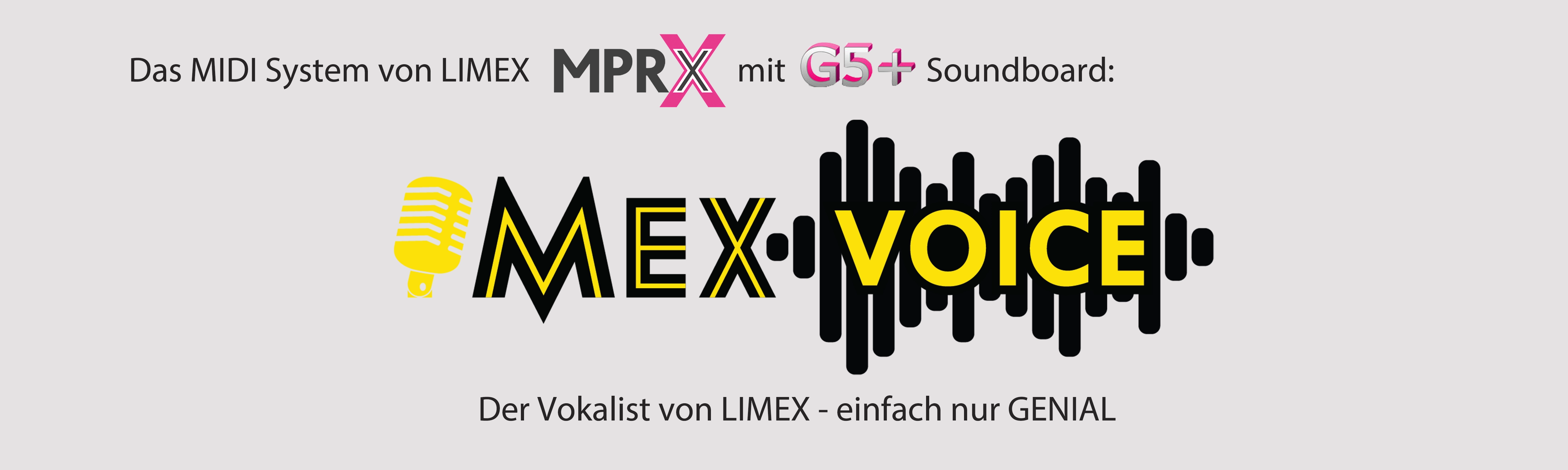Die Neuheit von LIMEX, MEX Voice